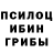 Галлюциногенные грибы GOLDEN TEACHER Willi Braun