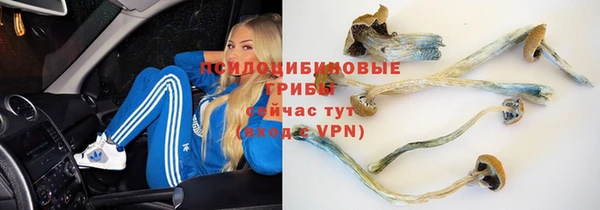 кокс Алексеевка